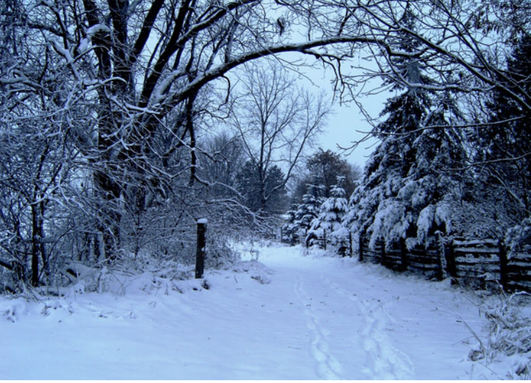 How SJC has changed learning during snow days