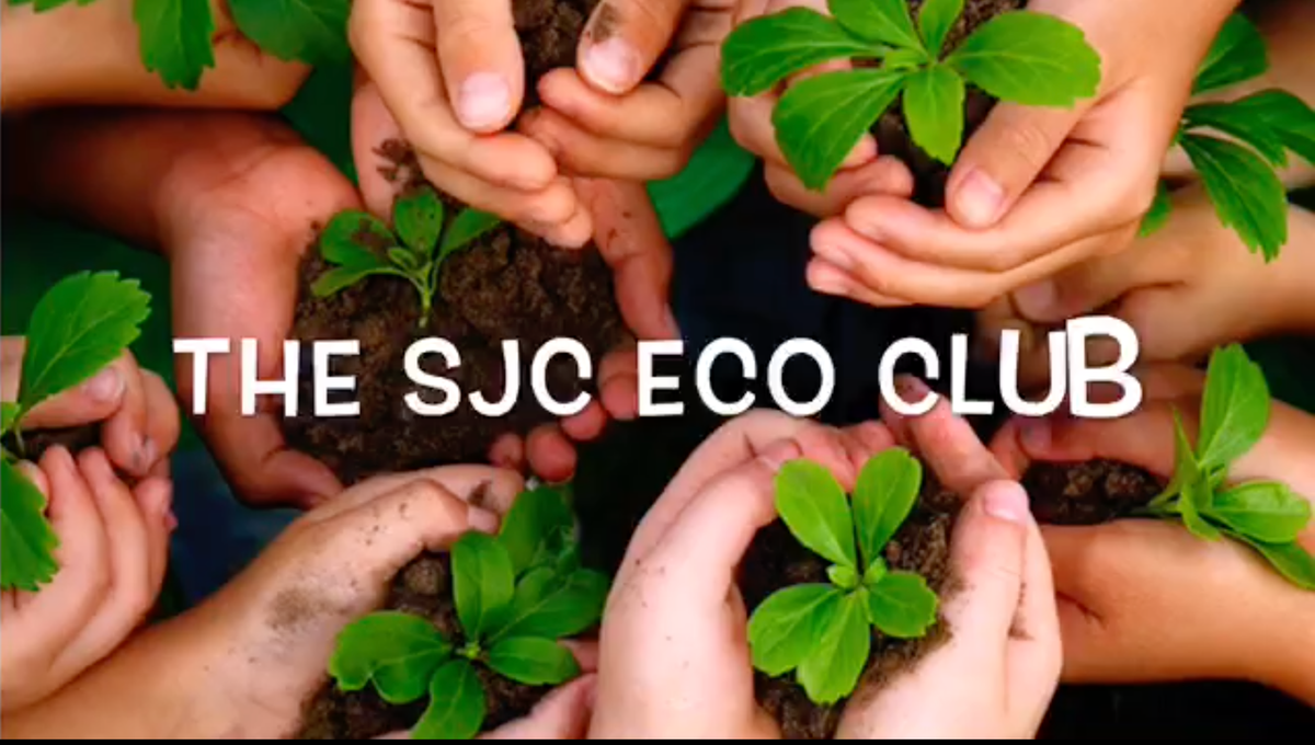 Club spotlight: SJC Eco Club