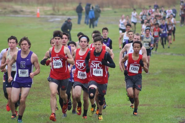 JV cross country places first at championships